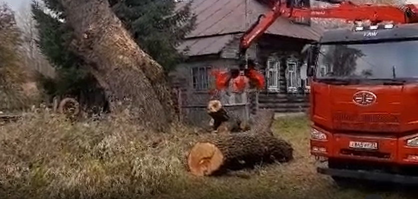 Спил деревьев в Муроме и области