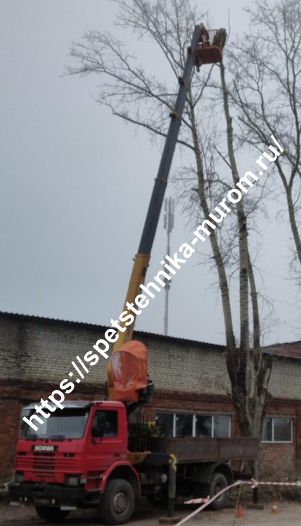 Аренда манипулятор вездеход Муром